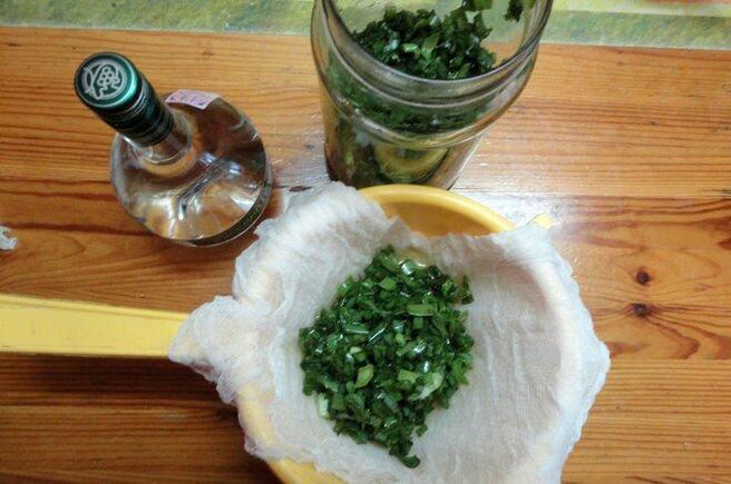 tintura de kolanchoe e vodka